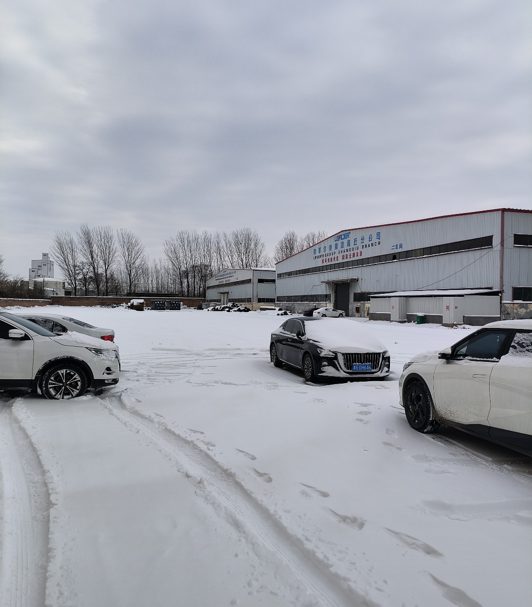 Screenshot_2026-01-20-14-04-23-81_99c04817c0de565