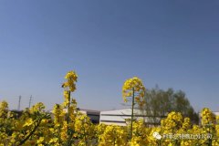 疫情已经得到控制欢迎宁夏现场合伙人来访铝塑炼油设备